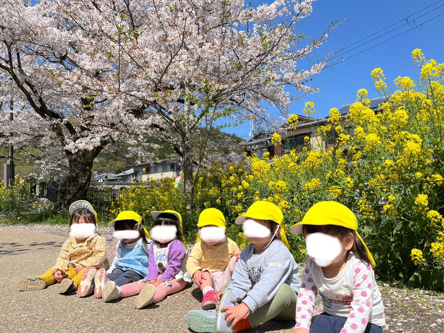 京都小規模保育事業所 ほほえみ保育園　山科園 キャッチ画像