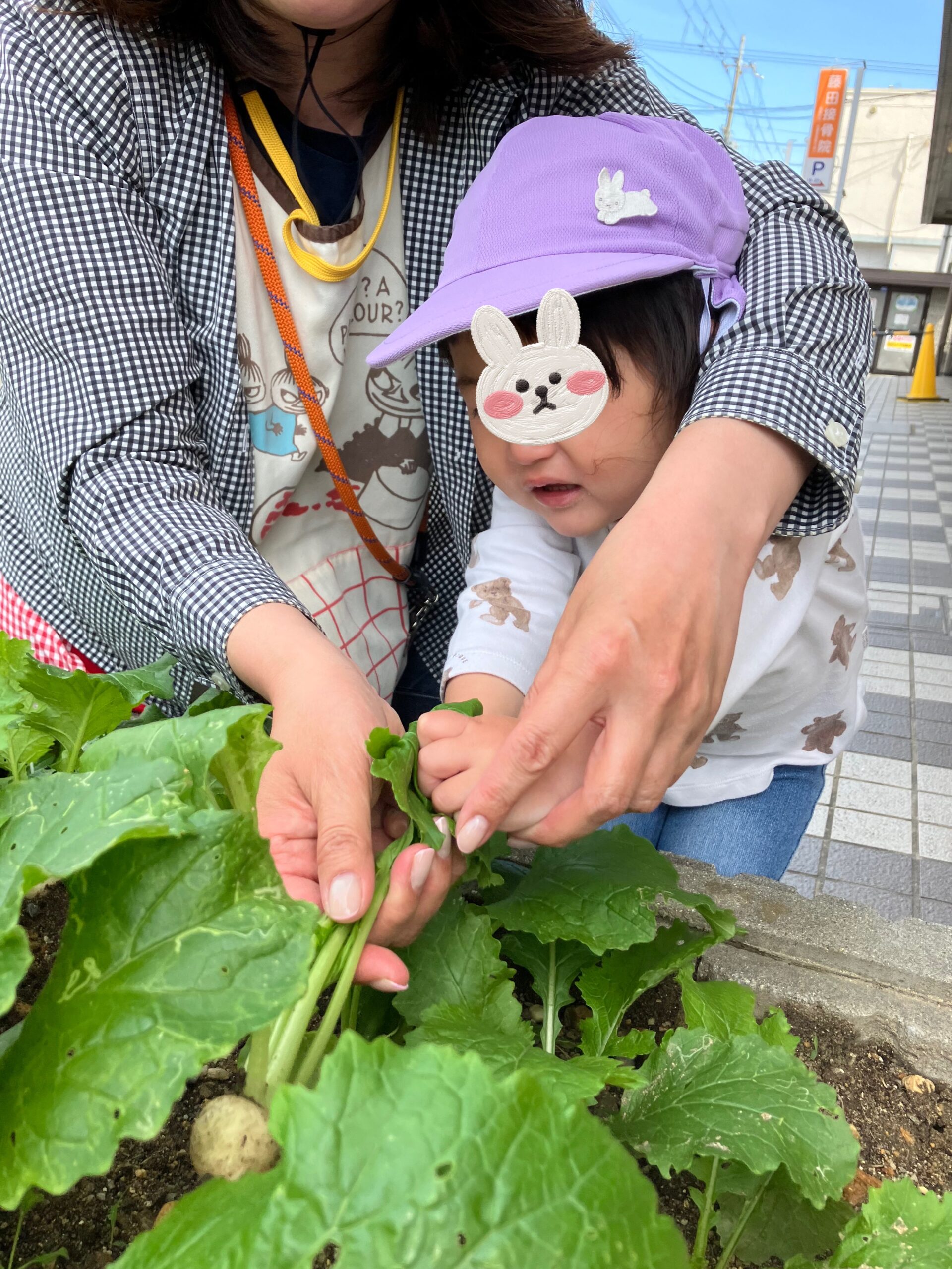 京都小規模保育事業所 ほほえみ保育園京田辺園 キャッチ画像