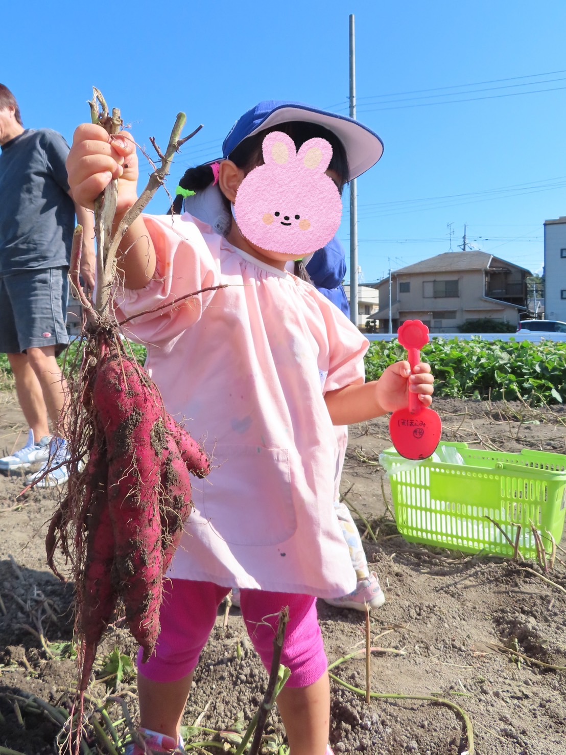 京都小規模保育事業所 ほほえみ保育園 長岡京園